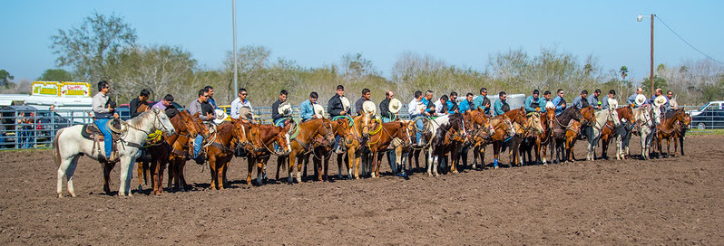 line of men on horses at a rodeo